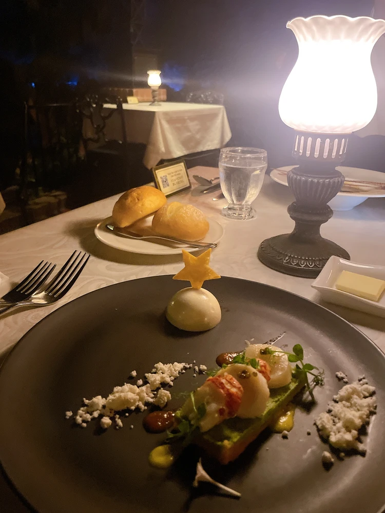 【クリスマスディズニー】絶対チェックしてほしいポイントをご紹介!ランドの大人の楽しみ方!_4