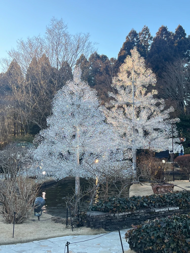【熱海＆箱根旅行】海×温泉で、心ほどけるご褒美旅。熱海パールスターホテルで叶える癒しの休日#旅行部_11_2
