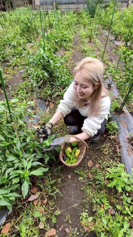 リゾナーレ那須　ファーマーズレッスン　収穫