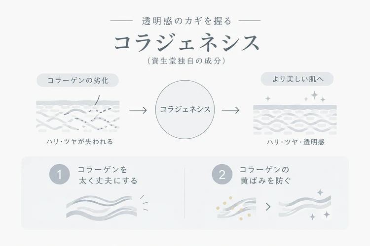 ELIXIR エリクシール ブライトニング ローション ca