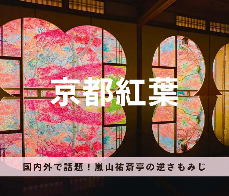 【京都の紅葉】国内外で話題のスポット❤️まるで絵画のような“嵐山祐斎亭の逆さもみじ”が幻想的すぎる
