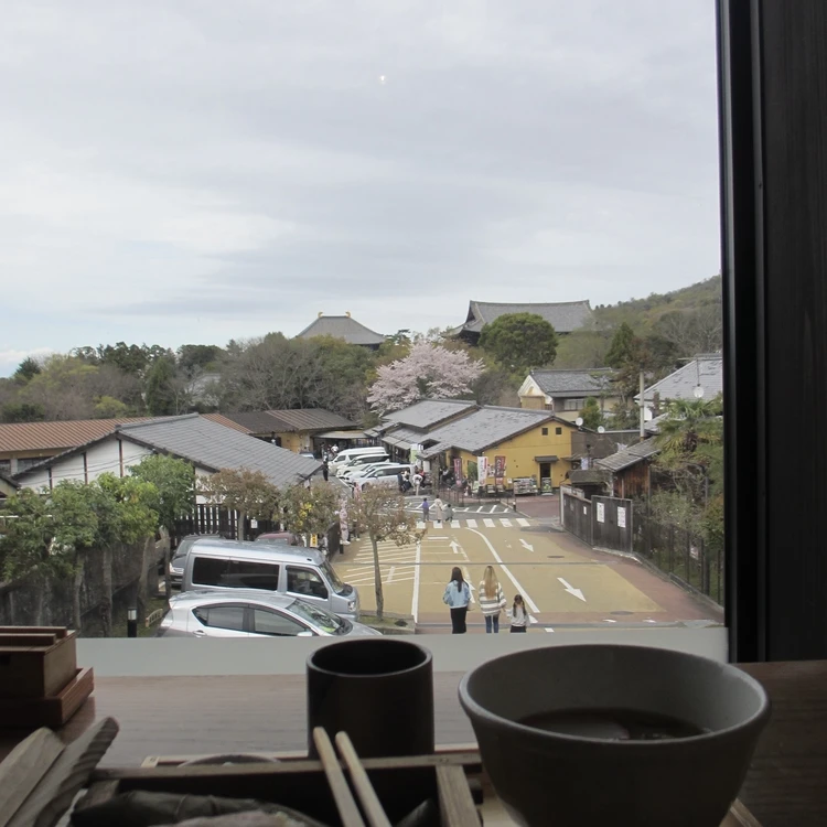 まだ見頃に間に合う♡ 桜をたのしむ古都・奈良旅のすゝめ|日帰りプラン_5
