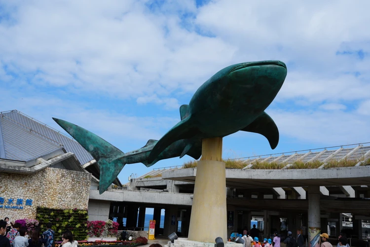10ヶ月ベビーと行く3泊4日沖縄旅後半【美ら海水族館、プール、ホテルディナー、やちむん通り】_1