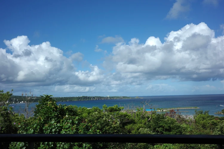 【保存版】子連れ沖縄旅行で”大人も満たされる”カフェ＆ごはん4選_5