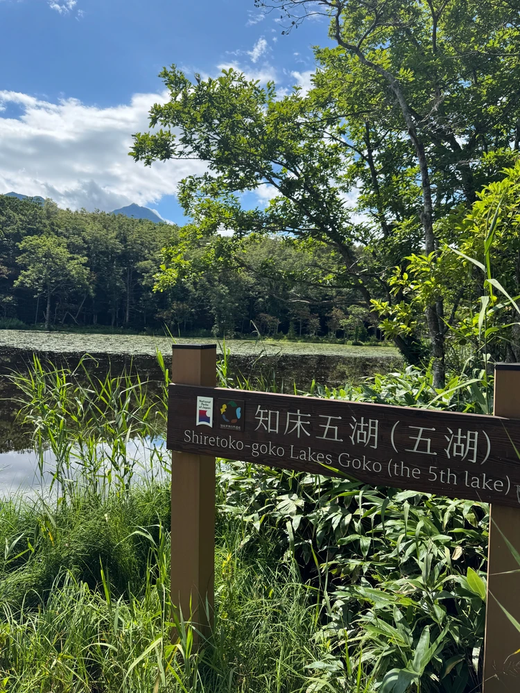 【北海道 道東エリア】網走・知床・弟子屈２泊３日絶景旅②知床半島＆野付半島編_5