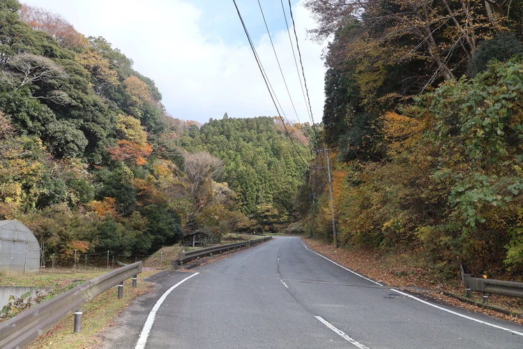 【登山デビューしました】福島・絹谷富士で紅葉と海を望むパノラマ絶景を楽しむ【ゆるく低山から第一歩】_2