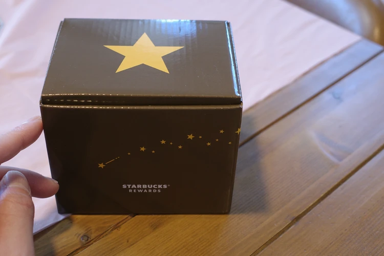 スタバ スターマグ ブラウン