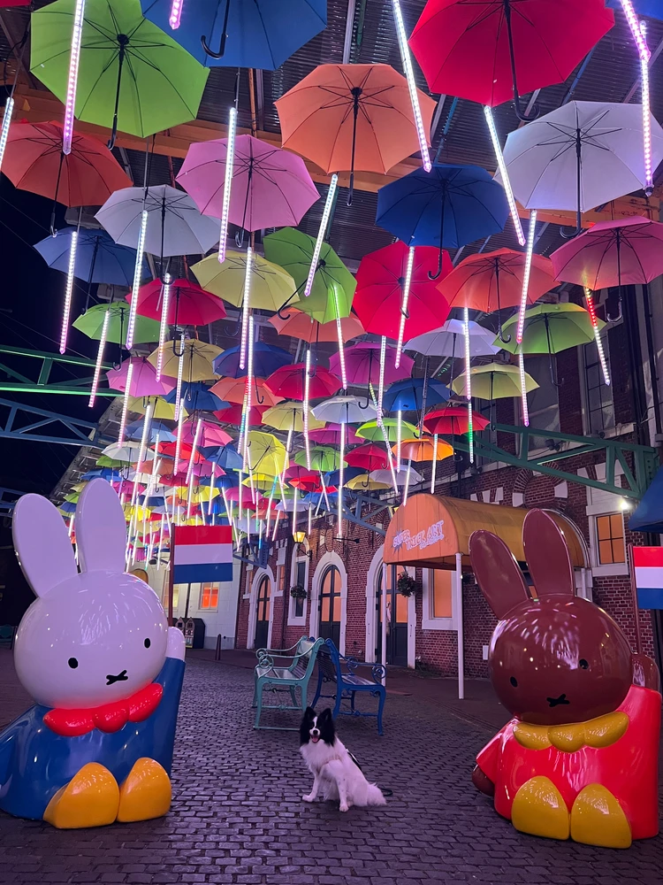 バラに包まれる初夏のハウステンボスへ♡ワイン祭りも開催中！_17_1