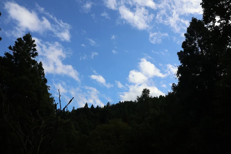 【会津若松】夏バテを癒やす１泊２日の旅【前編・蕎麦と滝の涼】_8_2