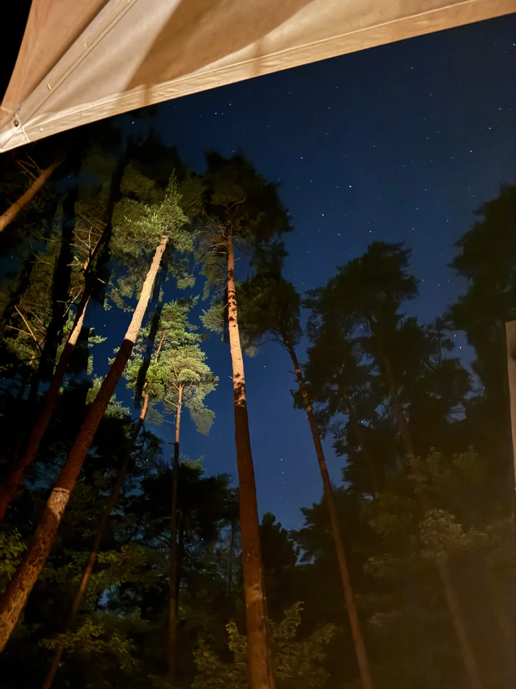 星のや富士　焚き火bar