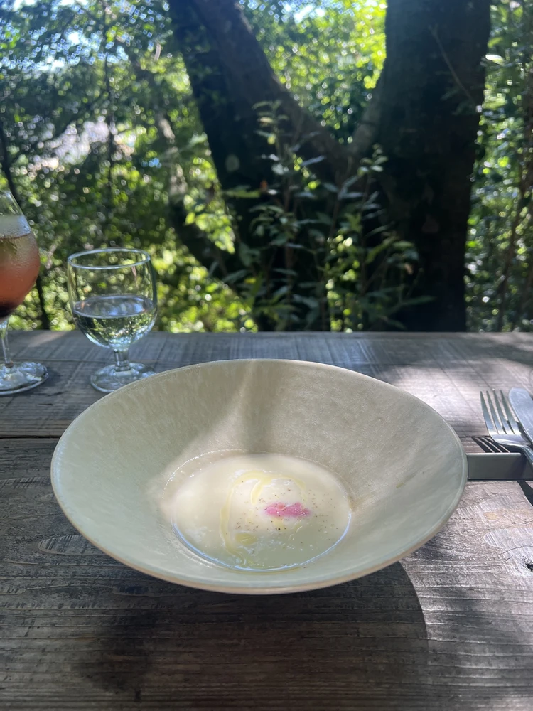 【新バイラーズ】はじめまして、木下友里です！_2_3