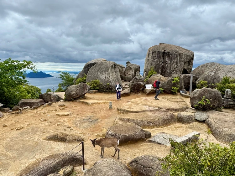 弥山山頂展望台から見える景色　鹿