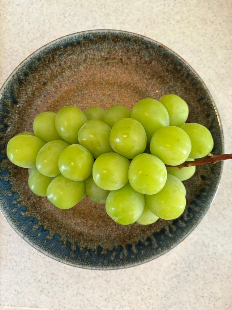 ベロアなら【SIMONWILD】が可愛い!異素材mixコーデ_1