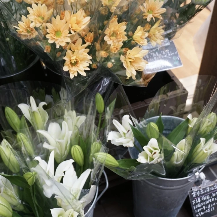 春は「クリーム色のぽってりネイル」がしたくなる気分！_1