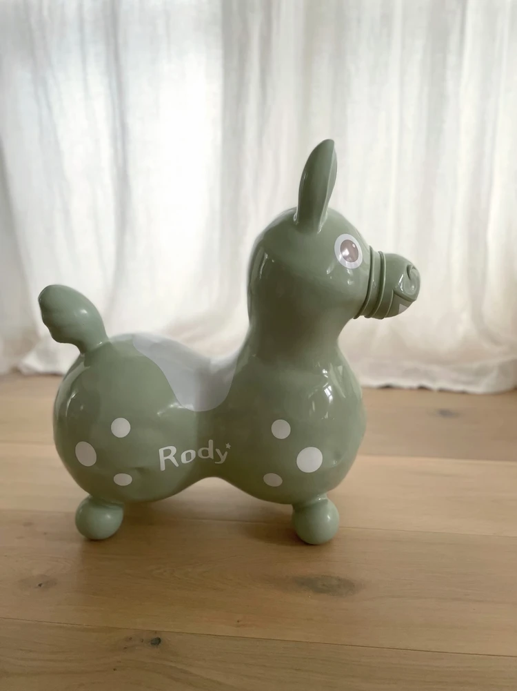 【子どもの玩具】インテリアに馴染むくすみカラーのロディ_1