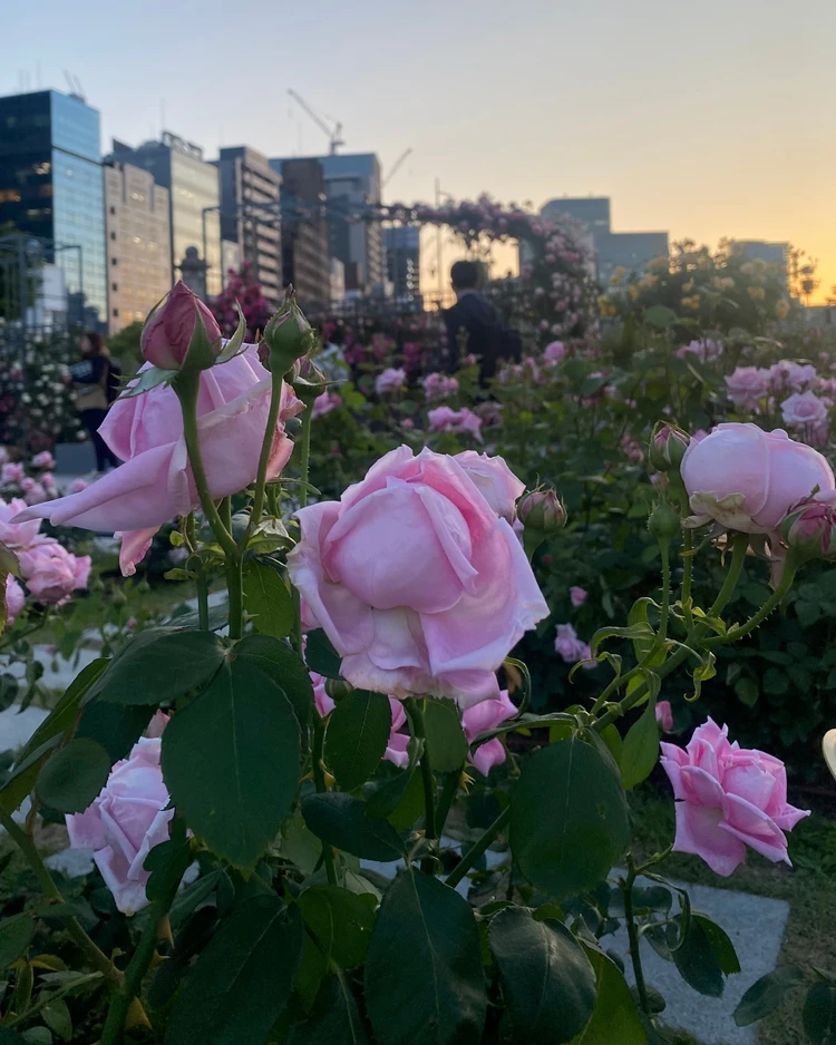 女子力も気分もアガる「Pinkの韓国コスメ」推し2選🩷_1_1
