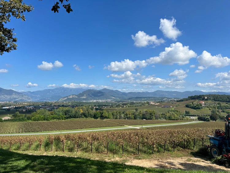 一生に一度は訪れたい。イタリアワインの贅沢旅【泡の名地へ】_14