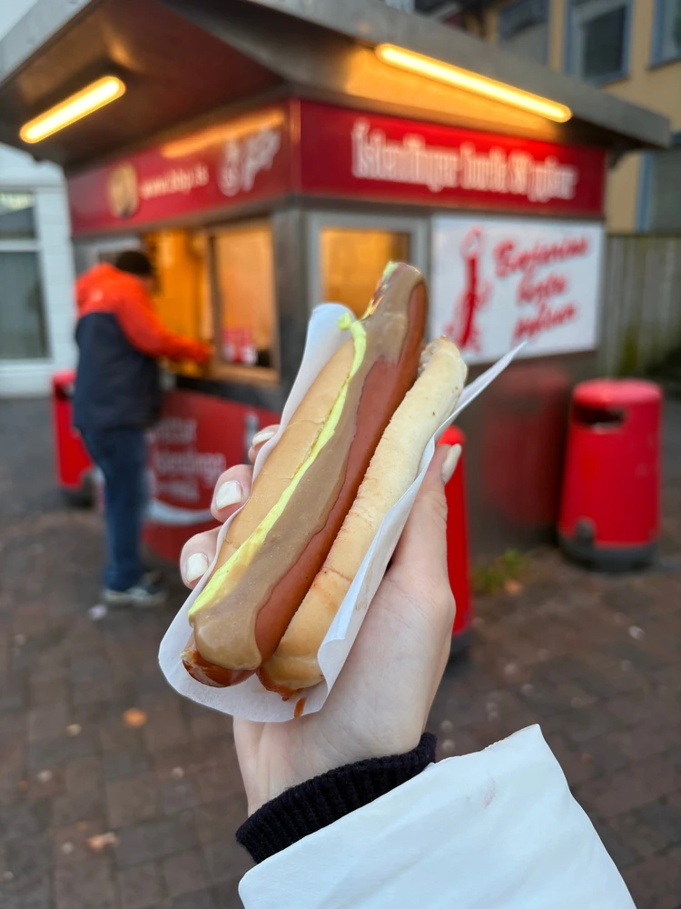 暮らすように旅する北欧・アイスランド! 大自然とカフェ巡りを4日間で堪能するモデルコース|後編_14_1