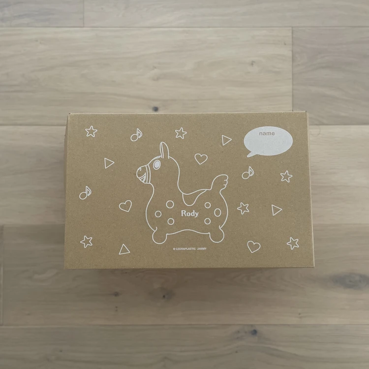 【子どもの玩具】インテリアに馴染むくすみカラーのロディ_2