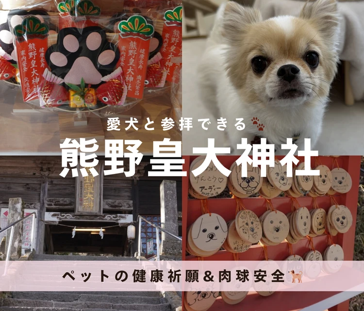 【長野・軽井沢パワースポット】愛犬と参拝できる熊野皇大神社｜ペット健康祈願＆限定御朱印