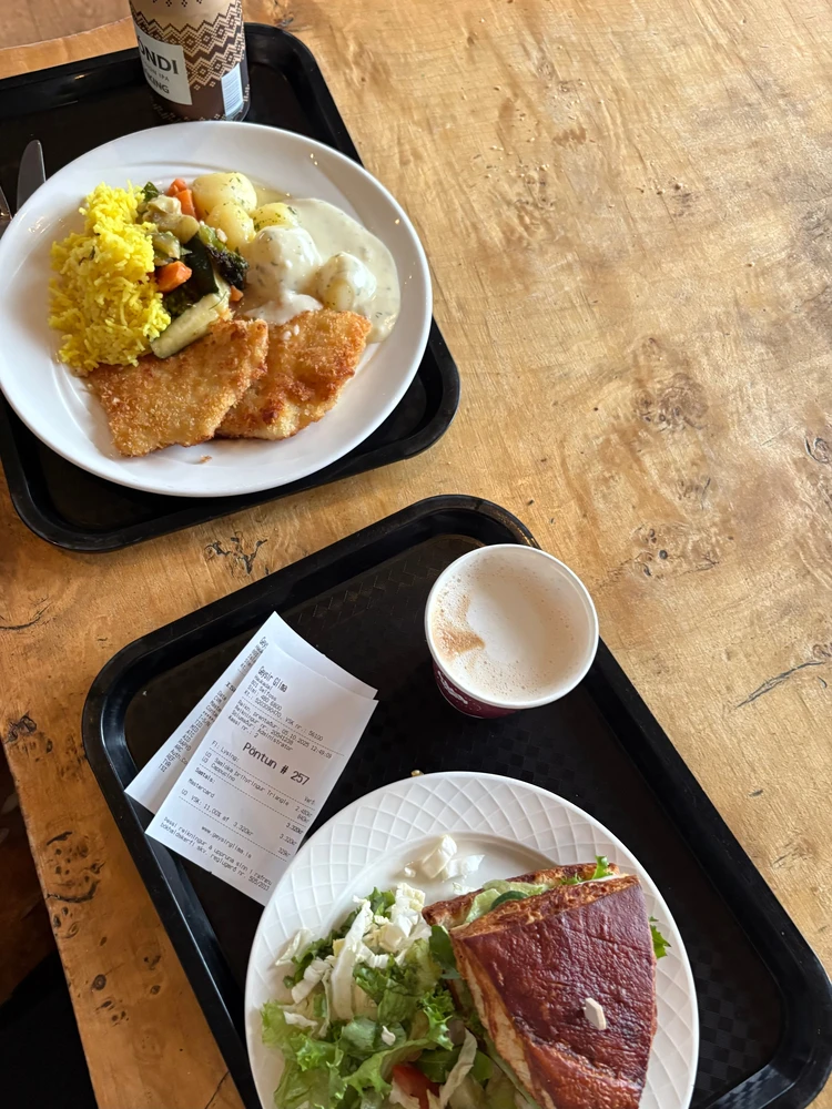 暮らすように旅する北欧・アイスランド! 大自然とカフェ巡りを4日間で堪能するモデルコース|前編_19_2