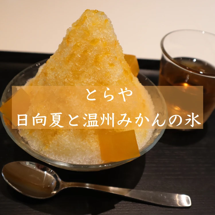 【写真】美味アイスを徹底レビュー_0