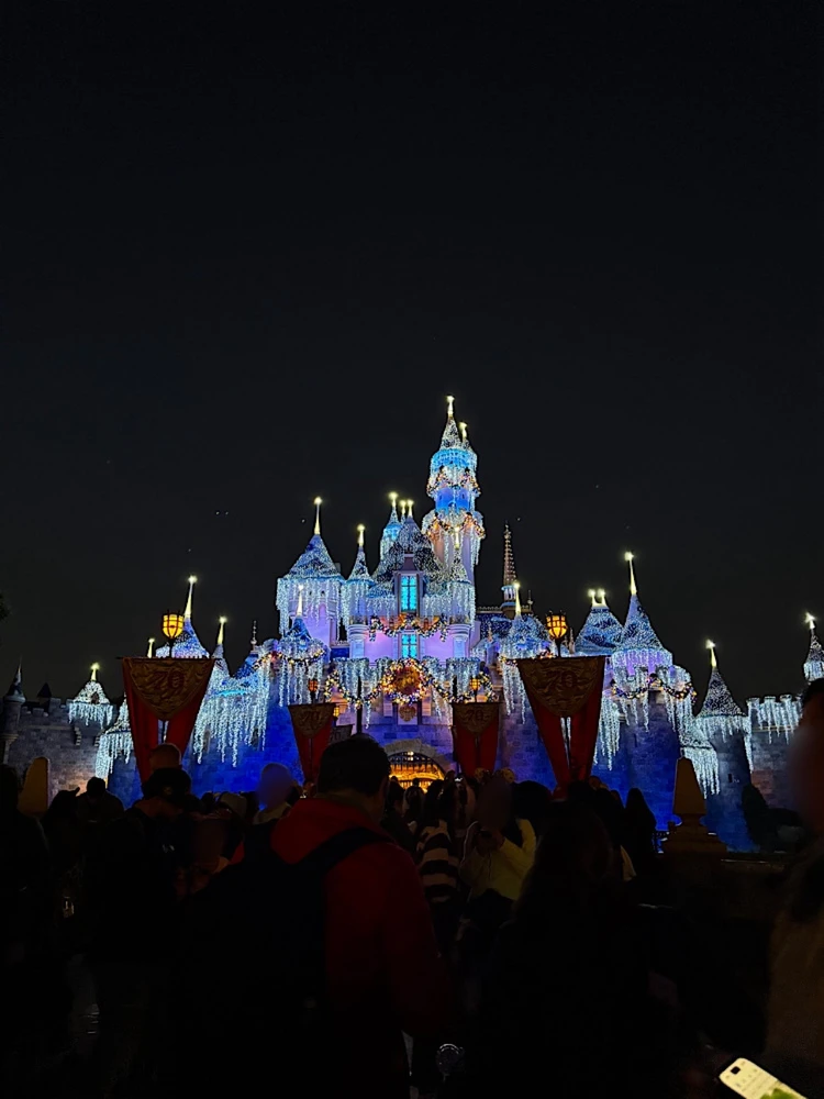 【LA旅行まとめ】初めてでも外さない!おすすめスポット7選_10