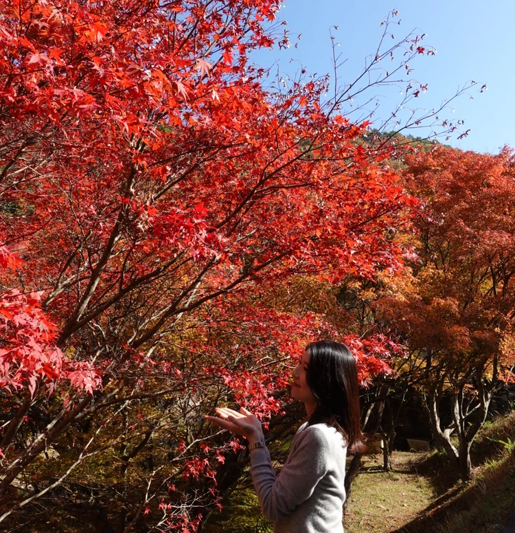兵庫の奥地に佇む秘湯【篭坊(かごのぼう)温泉】の紅葉は今が見頃!_6