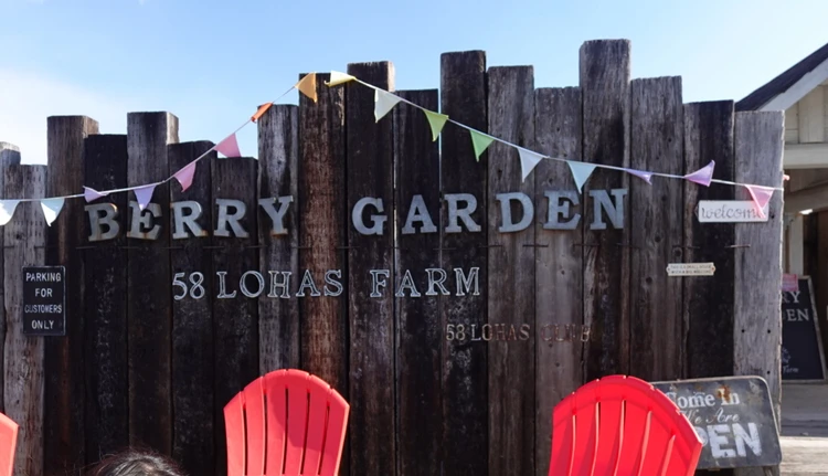 ロハスファーム　ベリーガーデン