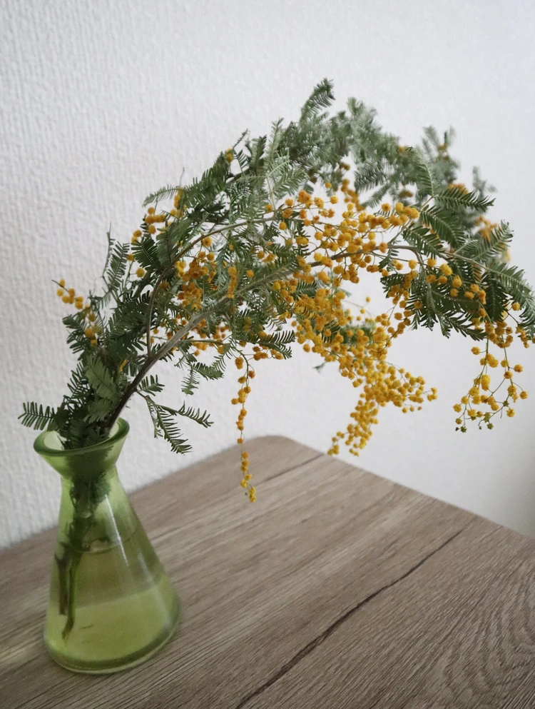 【卒業ブログ】4年間ありがとうございました！！_3