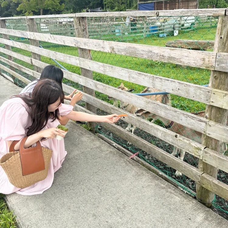 【東京発・静岡日帰りバスツアー】富士サファリパーク・白糸の滝・富士ミルクランドへ!夏にぴったりの癒し旅_2_1