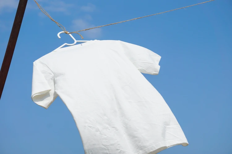 【新品見え】お気に入りのTシャツが傷まない「プロが教える汚れの落とし方」