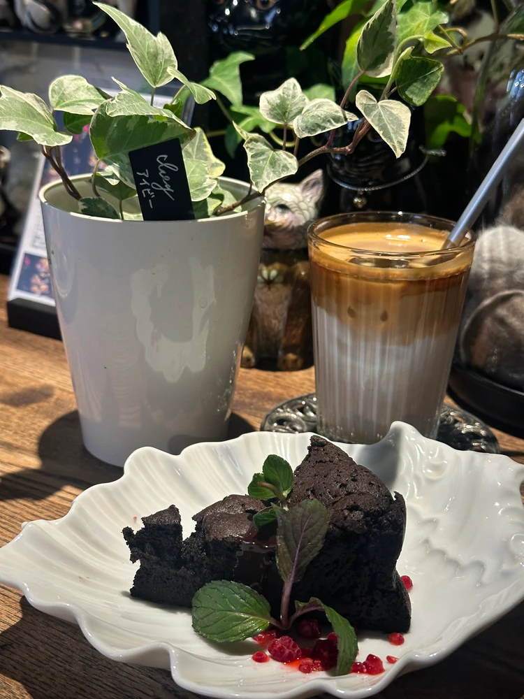 デザートと飲み物と観葉植物のボタニカルセットの写真