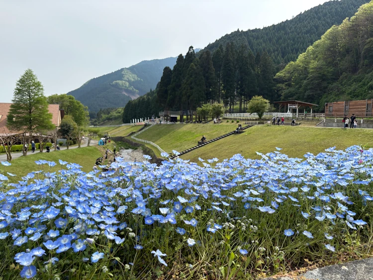動物＆自然好きの大人が大満足！兵庫県神崎郡の『ヨーデルの森』で癒しのナチュラル体験♡_10