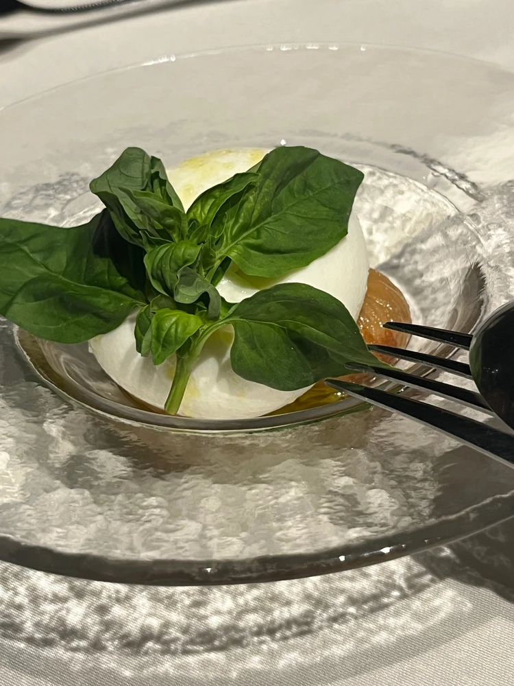 【軽井沢旅行】連休目前！愛犬と過ごせるおすすめスポットはここ🐾#旅行部_4_2