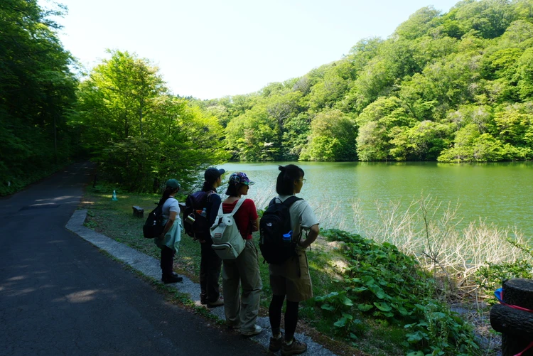 【2日目｜青森】十和田湖と白神山地を巡る大自然の東北絶景旅_5_2