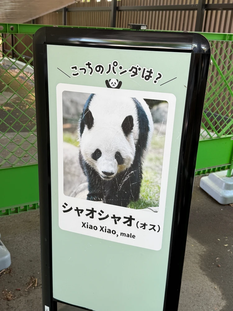 GW　ゴールデンウィーク　お出かけ　子連れ　おすすめ　動物園　1歳児　シャオシャオ　上野　パンダ
