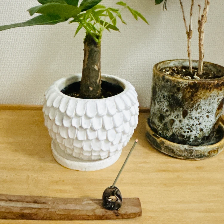 【無印良品】私の生活を支えてくれている！リピート買い＆お気に入りアイテム4選_5_1