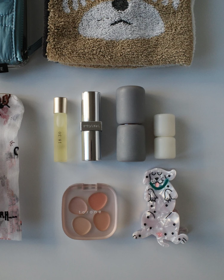 犬好き30代のwhat’s in my bag ❤︎ _5