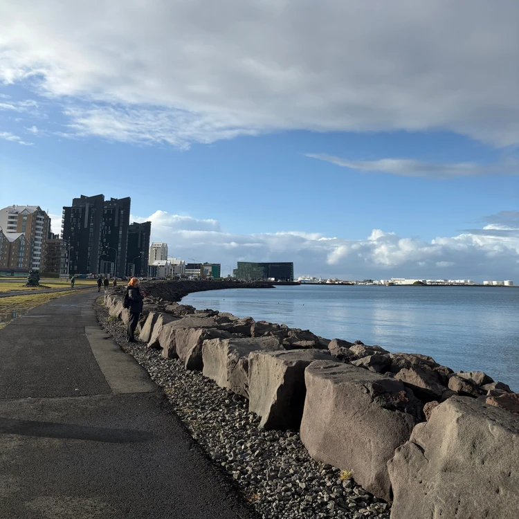 暮らすように旅する北欧・アイスランド! 大自然とカフェ巡りを4日間で堪能するモデルコース|後編_11