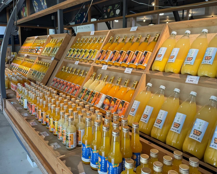 【三重・VISON】東京ドーム24個分の商業リゾート！エリア別食べ歩いたものリスト【グルメ編】_9