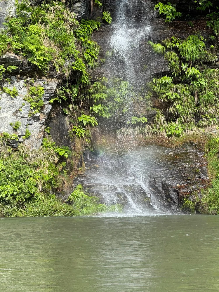 【秩父・長瀞】GW後半にも間に合う！日帰りお出かけプラン_5_3