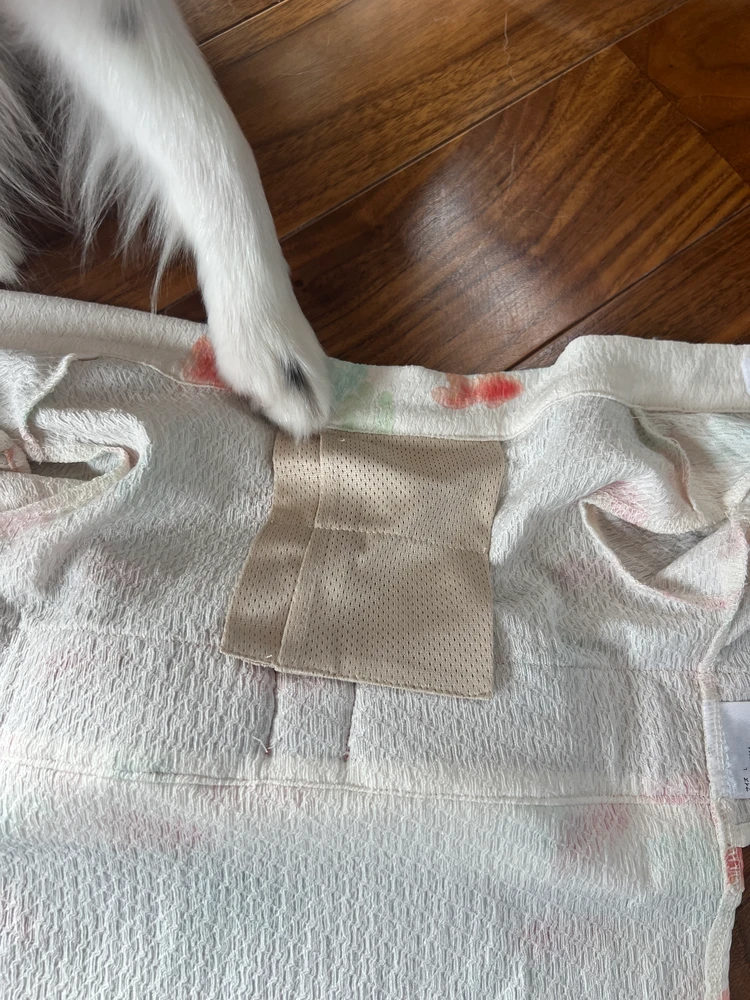 【愛犬の夏コーデ♡】注目のmonchériの涼感ウェア_3