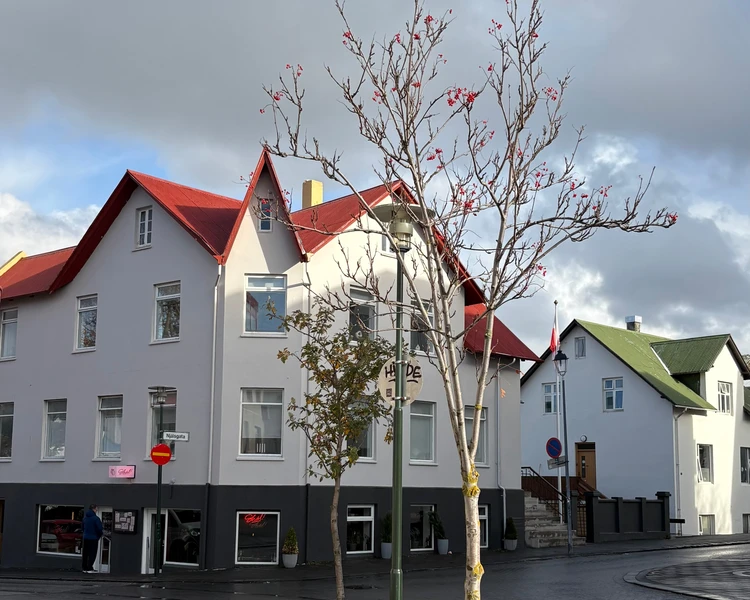 暮らすように旅する北欧・アイスランド! 大自然とカフェ巡りを4日間で堪能するモデルコース|後編_8