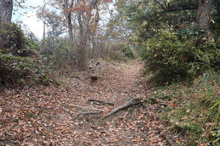 【登山デビューしました】福島・絹谷富士で紅葉と海を望むパノラマ絶景を楽しむ【ゆるく低山から第一歩】_8_1