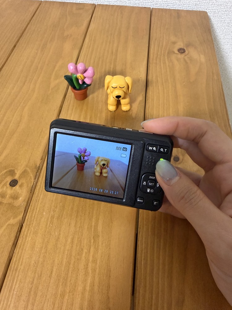 Kodak