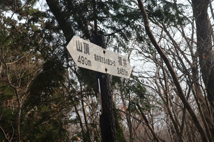 【新潟】登山口はまさかの海!? 角田山で標高0mから"青すぎる"登山【登山日記】_10