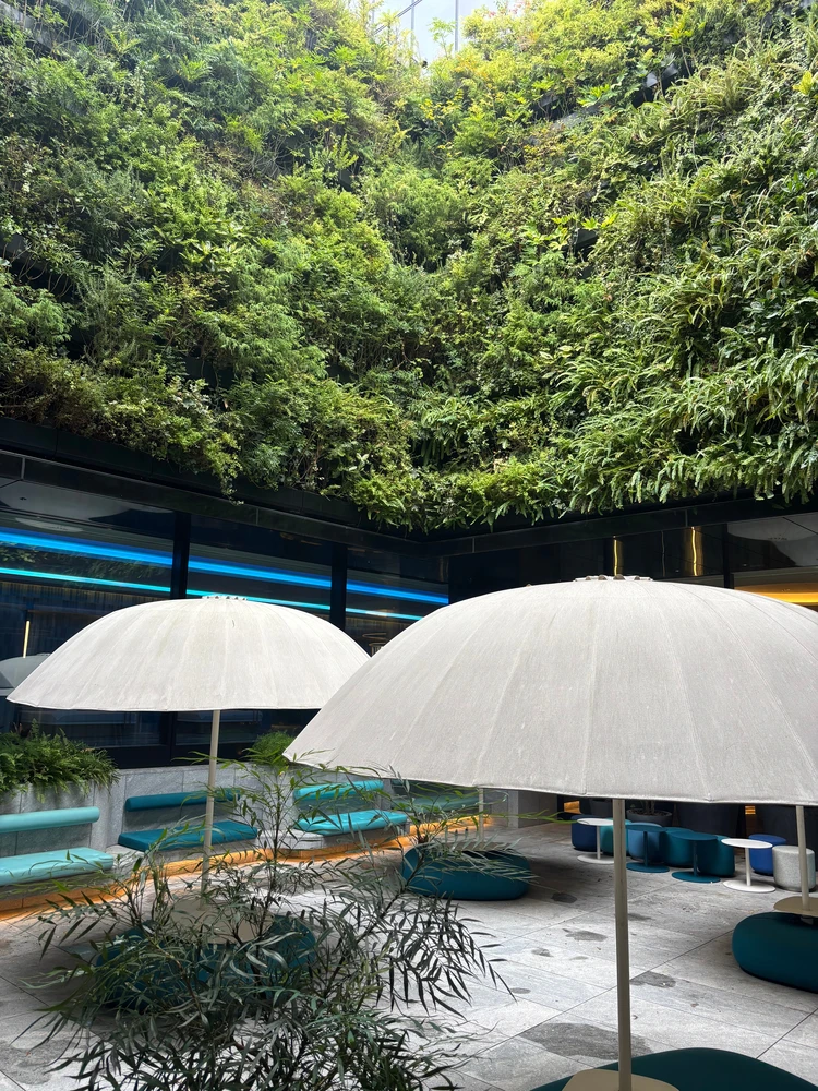 W Osaka pool プール