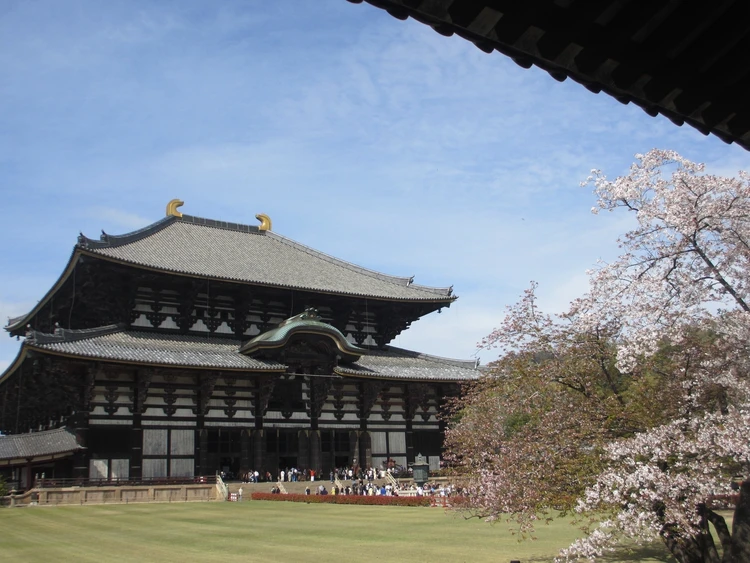 まだ見頃に間に合う♡ 桜をたのしむ古都・奈良旅のすゝめ|日帰りプラン_6