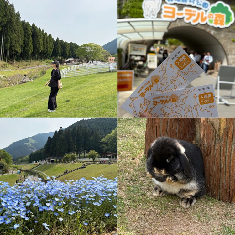 動物＆自然好きの大人が大満足！兵庫県神崎郡の『ヨーデルの森』で癒しのナチュラル体験♡_12